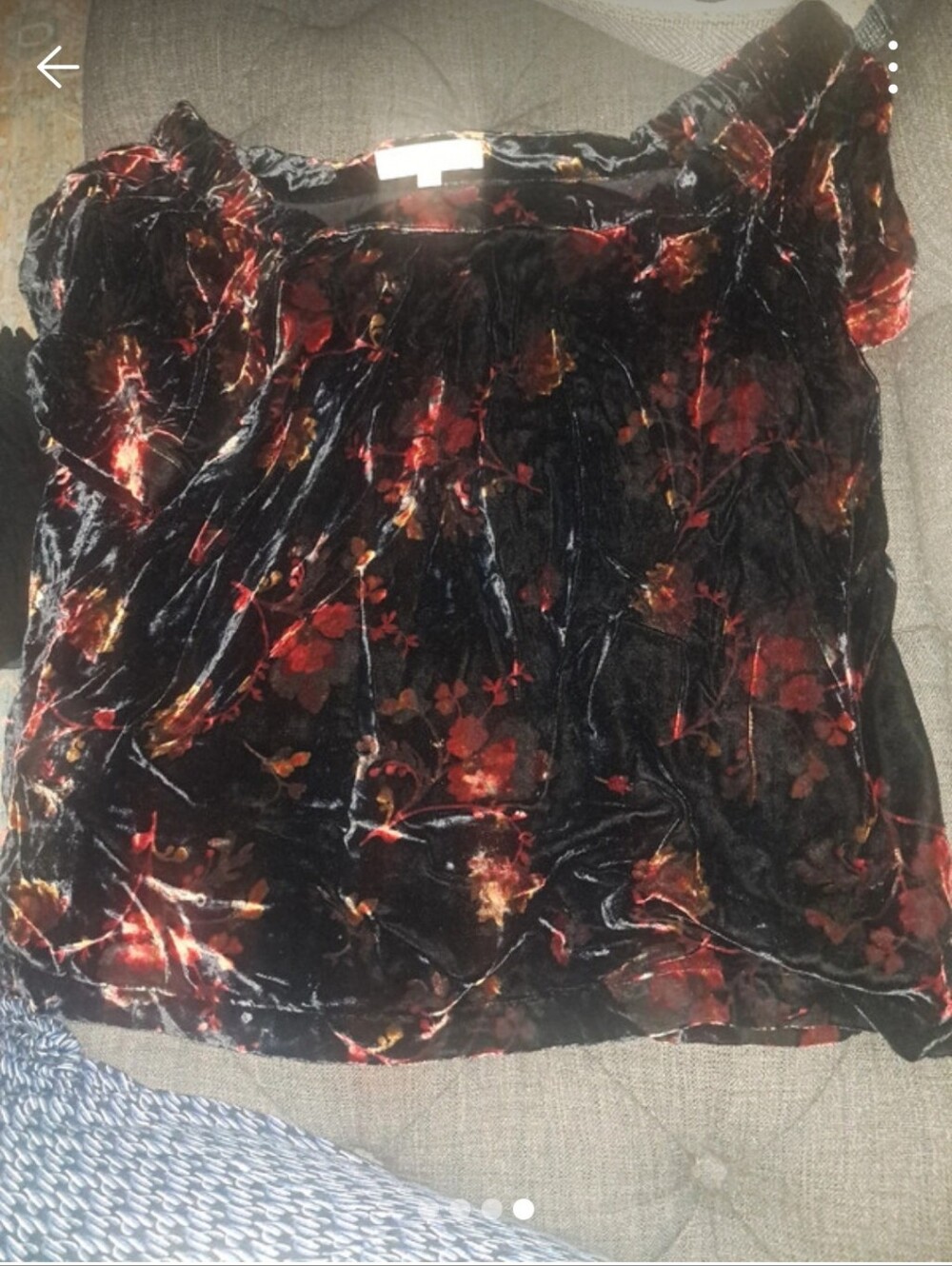LOFT Black Velvet Short Sleeve Top with Red Floral